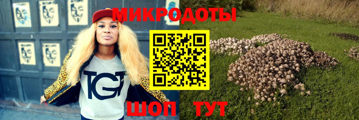 Псилоцибиновые грибы мухоморы  Галлюциногенные грибы GOLDEN TEACHER  Выкса  Вход с VPN 