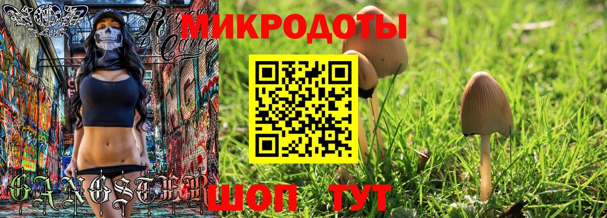 Галлюциногенные грибы мицелий Выкса